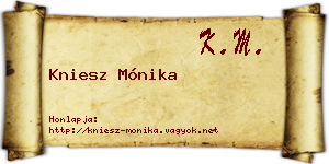 Kniesz Mónika névjegykártya